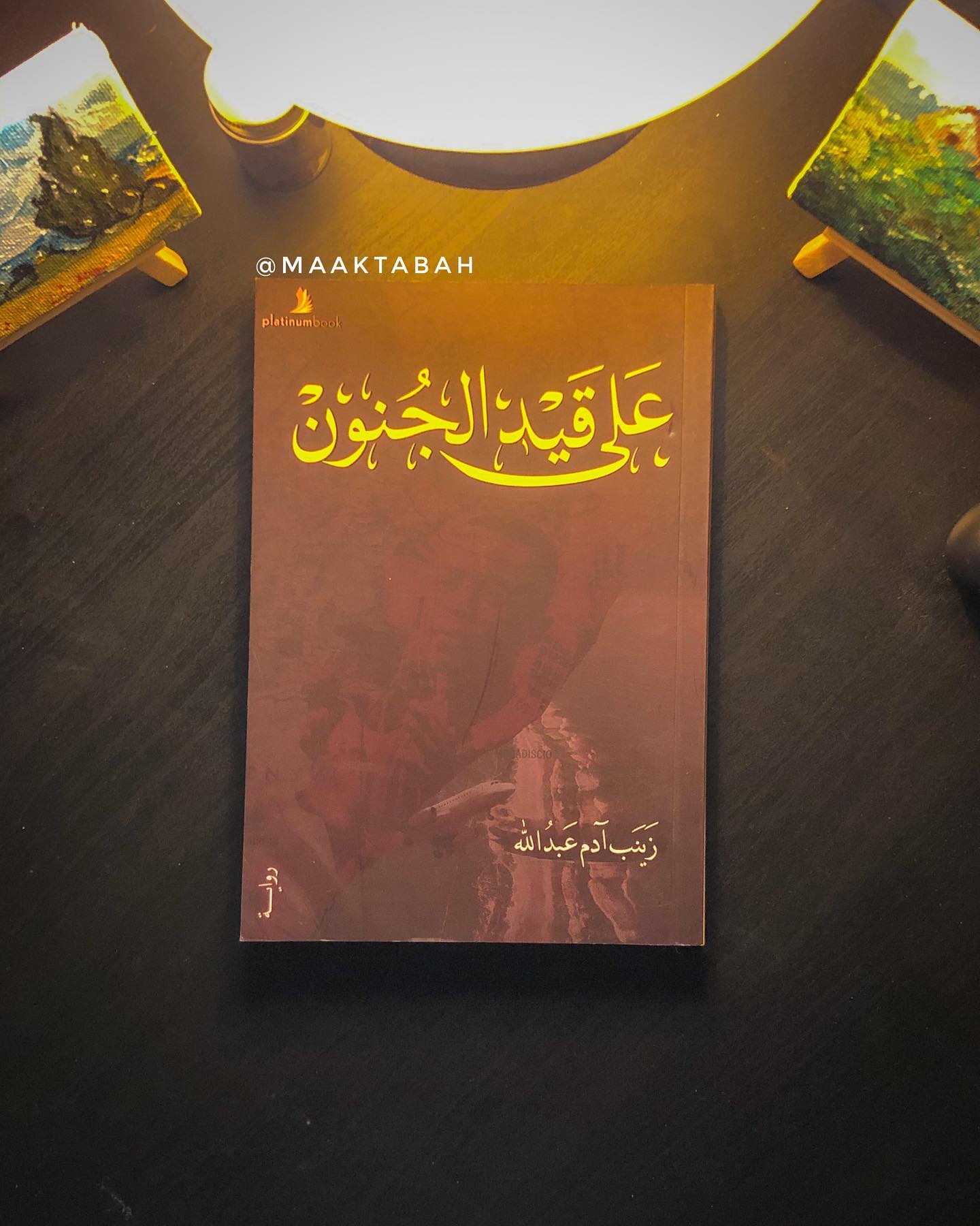 على قيد الجنون