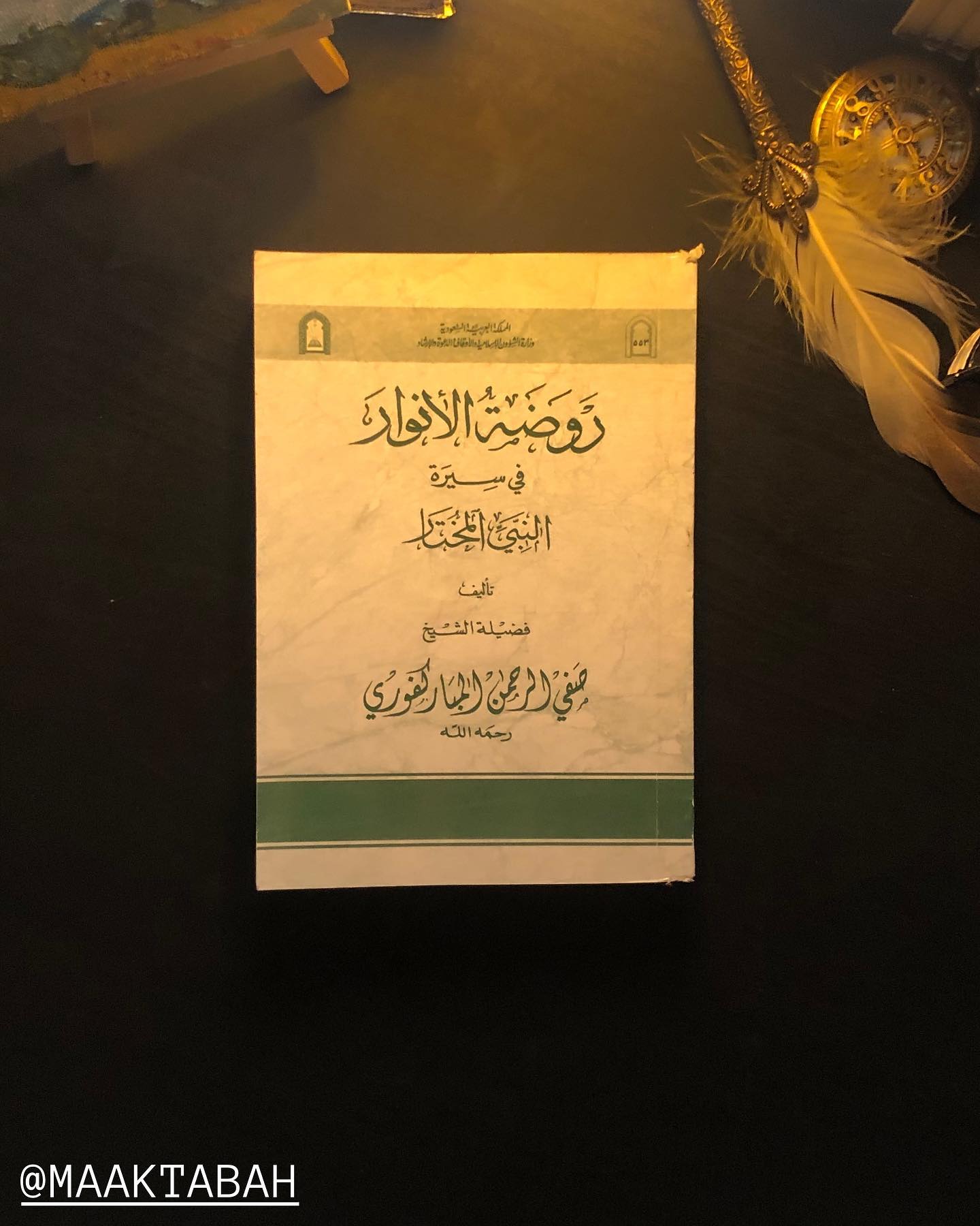 روضة الأنوار في سيرة النبي المختار